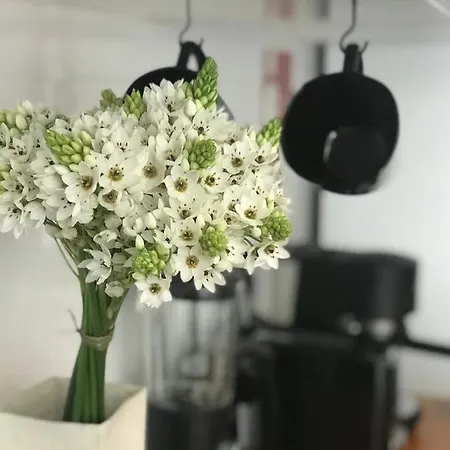 Casa Dos Poetas Vandrarhem *