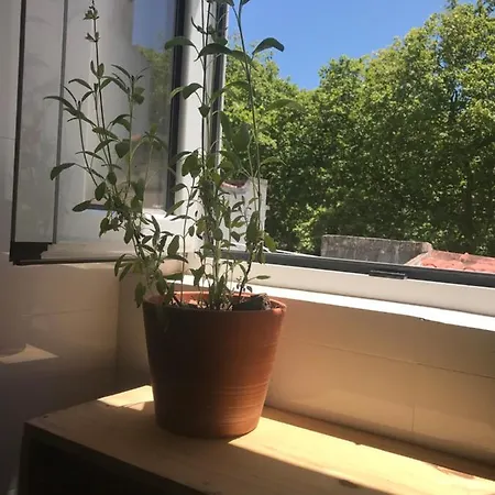 Vandrarhem Casa Dos Poetas Caldas Da Rainha